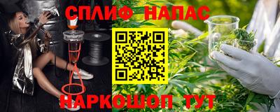 шишки Кандалакша