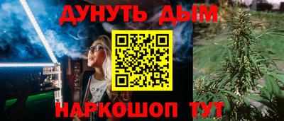 шишки Кандалакша