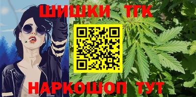 шишки Кандалакша