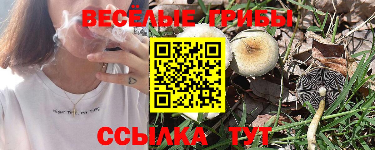 Псилоцибиновые грибы MAGIC MUSHROOMS  Вход с VPN  Волхов 