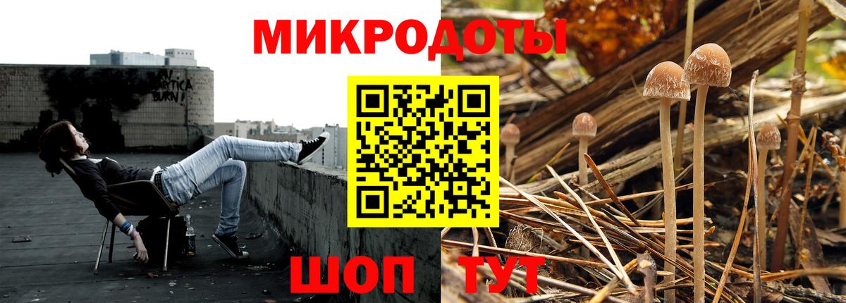 Галлюциногенные грибы Magic Shrooms Волхов
